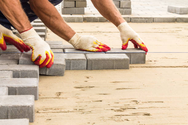 Best Custom Driveway Pavers  in Lake Panasoffkee, FL