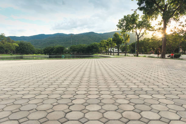 Permeable Paver Driveway in Lake Panasoffkee, FL