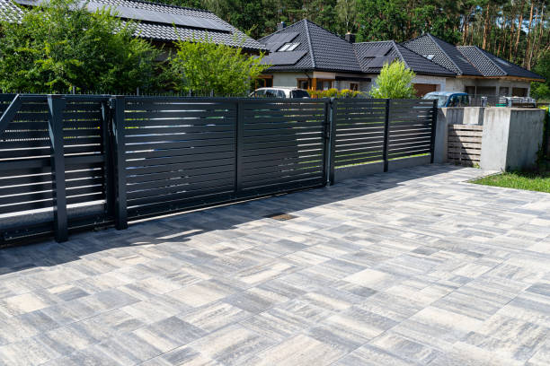 Best Decorative Driveway Pavers  in Lake Panasoffkee, FL