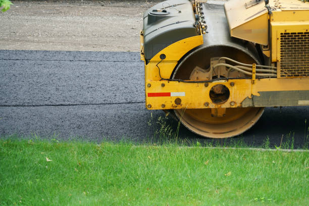 Best Driveway Pavers Near Me  in Lake Panasoffkee, FL