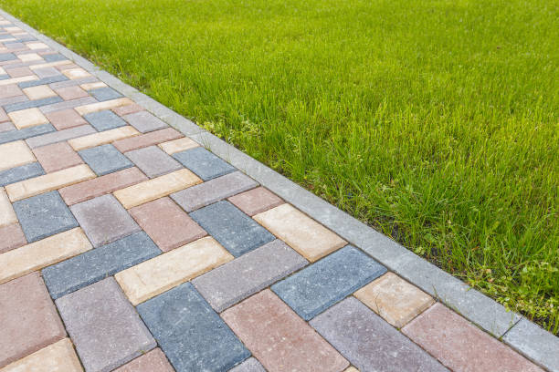 Best Driveway Paving Near Me  in Lake Panasoffkee, FL